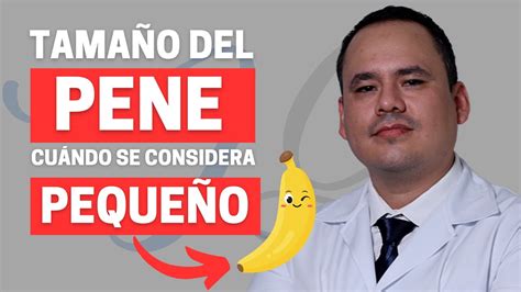 penes de 13 centímetros|Tamaño normal del pene: hasta qué edad crece (y otras dudas).